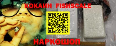 эйфоретик Аргун