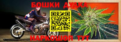 индика Апшеронск