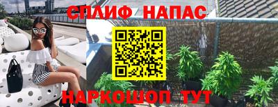 индика Апшеронск