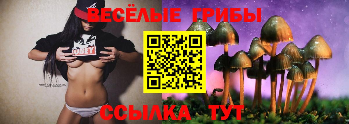 где найти наркотики  Галлюциногенные грибы Cubensis  Вход с VPN  Галлюциногенные грибы мицелий  Берёзовский 